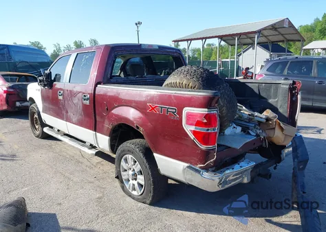 2010 Ford F-150 Fx4/Harley-Davidson/King Ranch/Lariat/Platinum/Xl/Xlt z USA, uszkodzony, nr VIN 1FTFW1EV7AFC08166